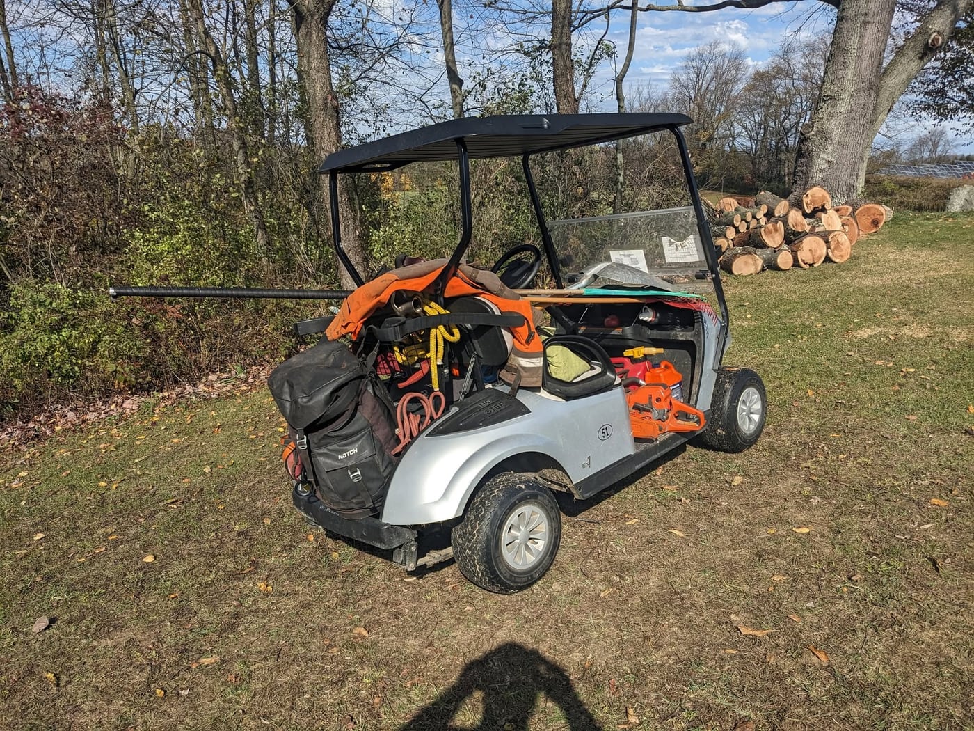 Tools loaded on a utility cart beside stacked cut logs